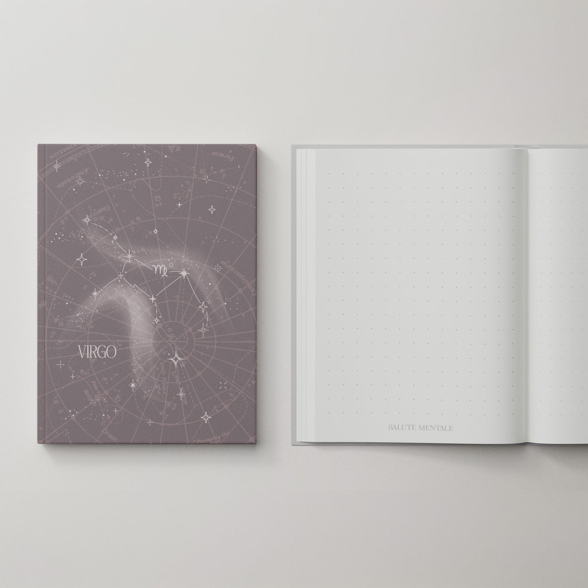 Sternzeichen Notizbuch: Virgo (Jungfrau) - der Gewissenhafte