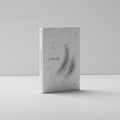 Sternzeichen Notizbuch: Capricorn (Steinbock) - der Macher