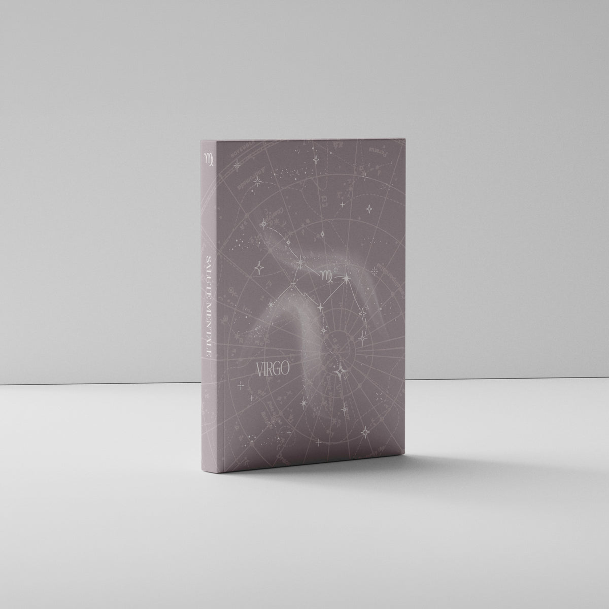 Sternzeichen Notizbuch: Virgo (Jungfrau) - der Gewissenhafte